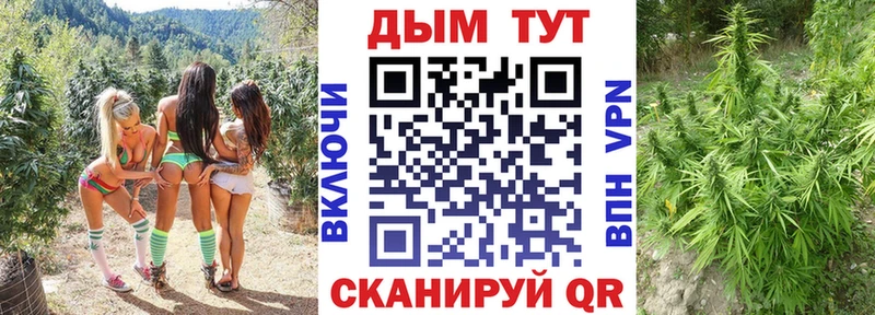 Виды наркотиков купить Калининск Cocaine  Меф  ГАШ  Конопля 