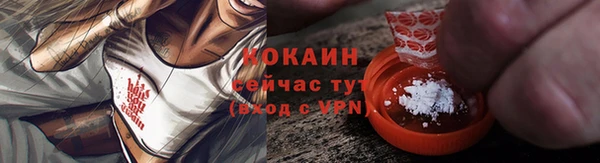 крисы Бронницы