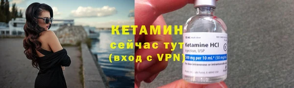 крисы Бронницы