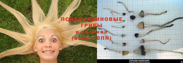 крисы Бронницы