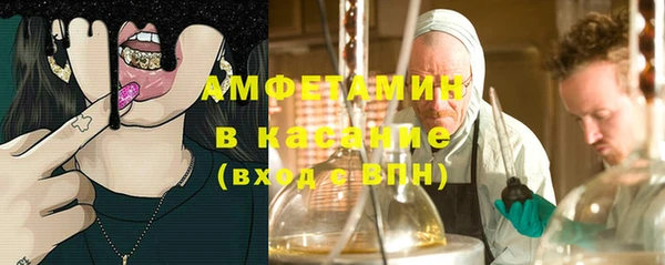 крисы Бронницы